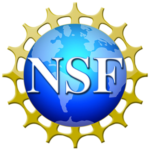 logo_nsf.jpg